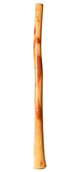 Ironbark Didgeridoo (IB262)